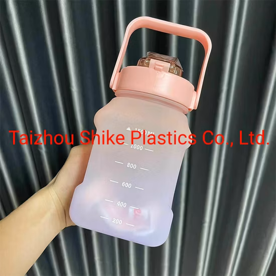 Nouvelle bouteille d'eau en plastique givrée carrée portable